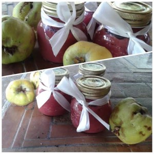 marmellata di mele cotogne ed uva fragola